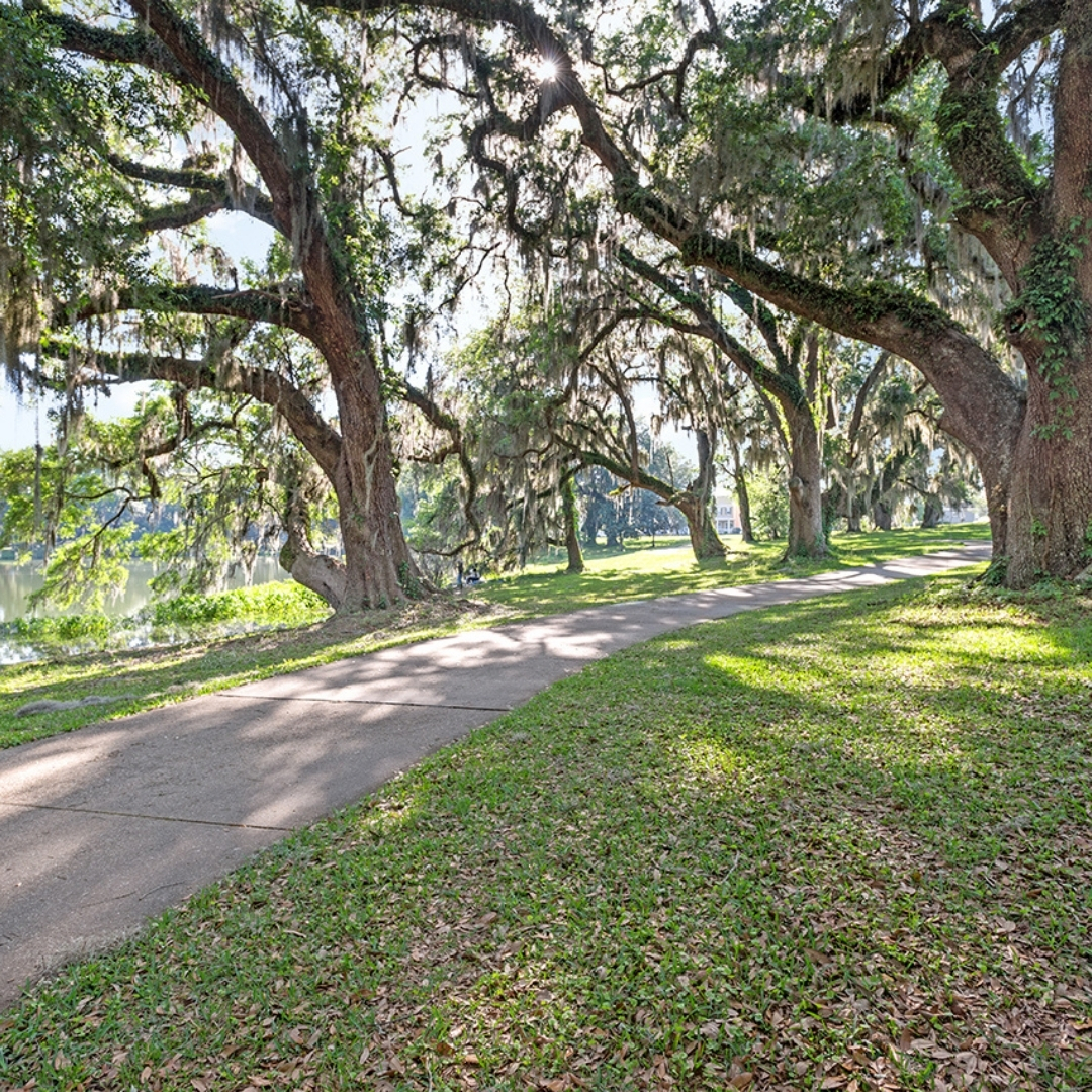 Tallahassee neighborhood of Southwood's Central Park trail