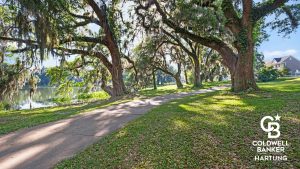 Walking path in a Tallahassee neighborhood on a sunny day with big oak trees