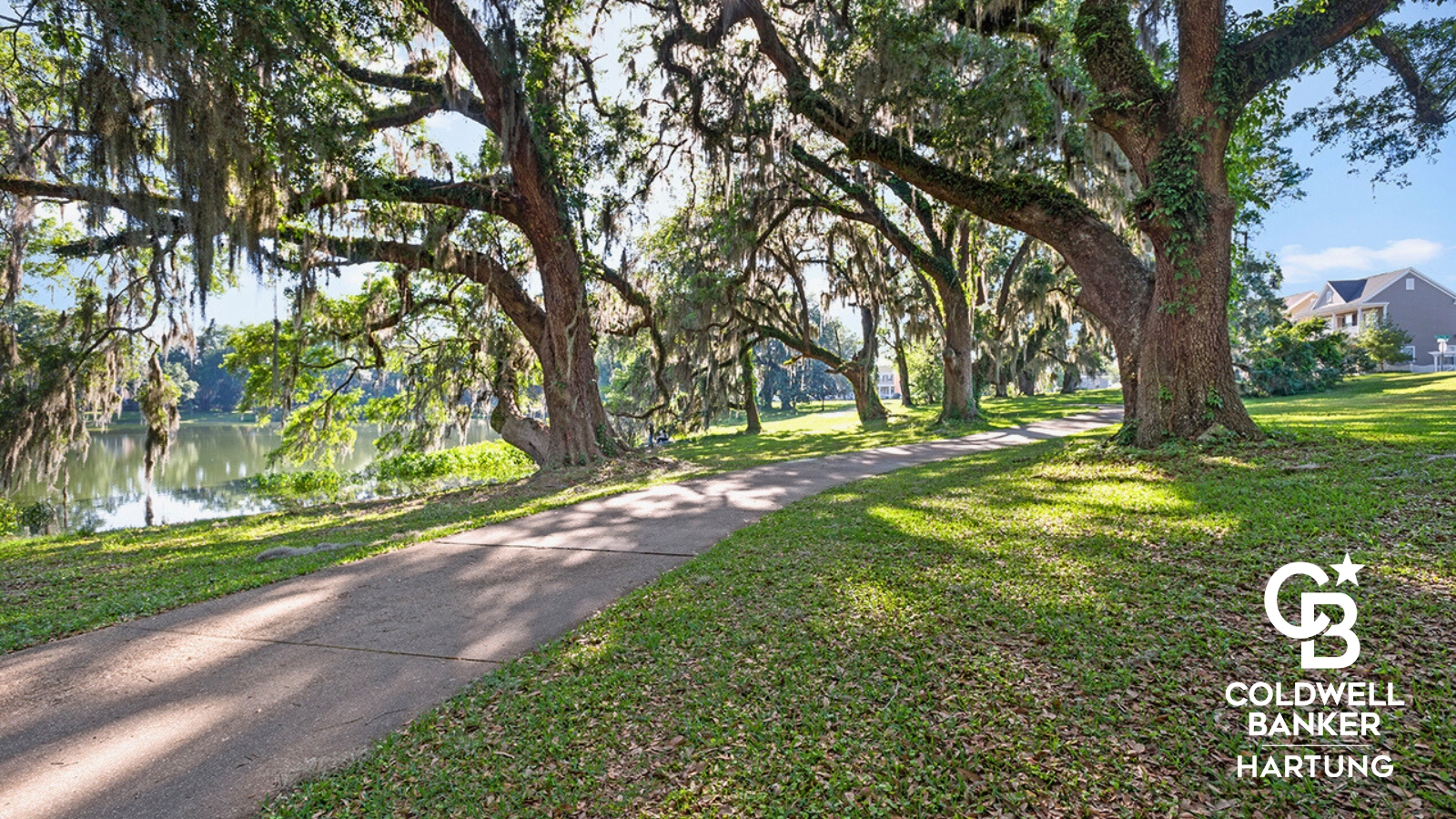 Walking path in a Tallahassee neighborhood on a sunny day with big oak trees
