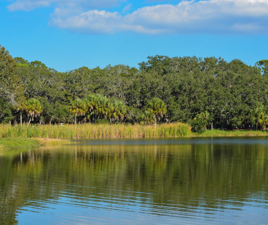 Natural Quincy, Florida