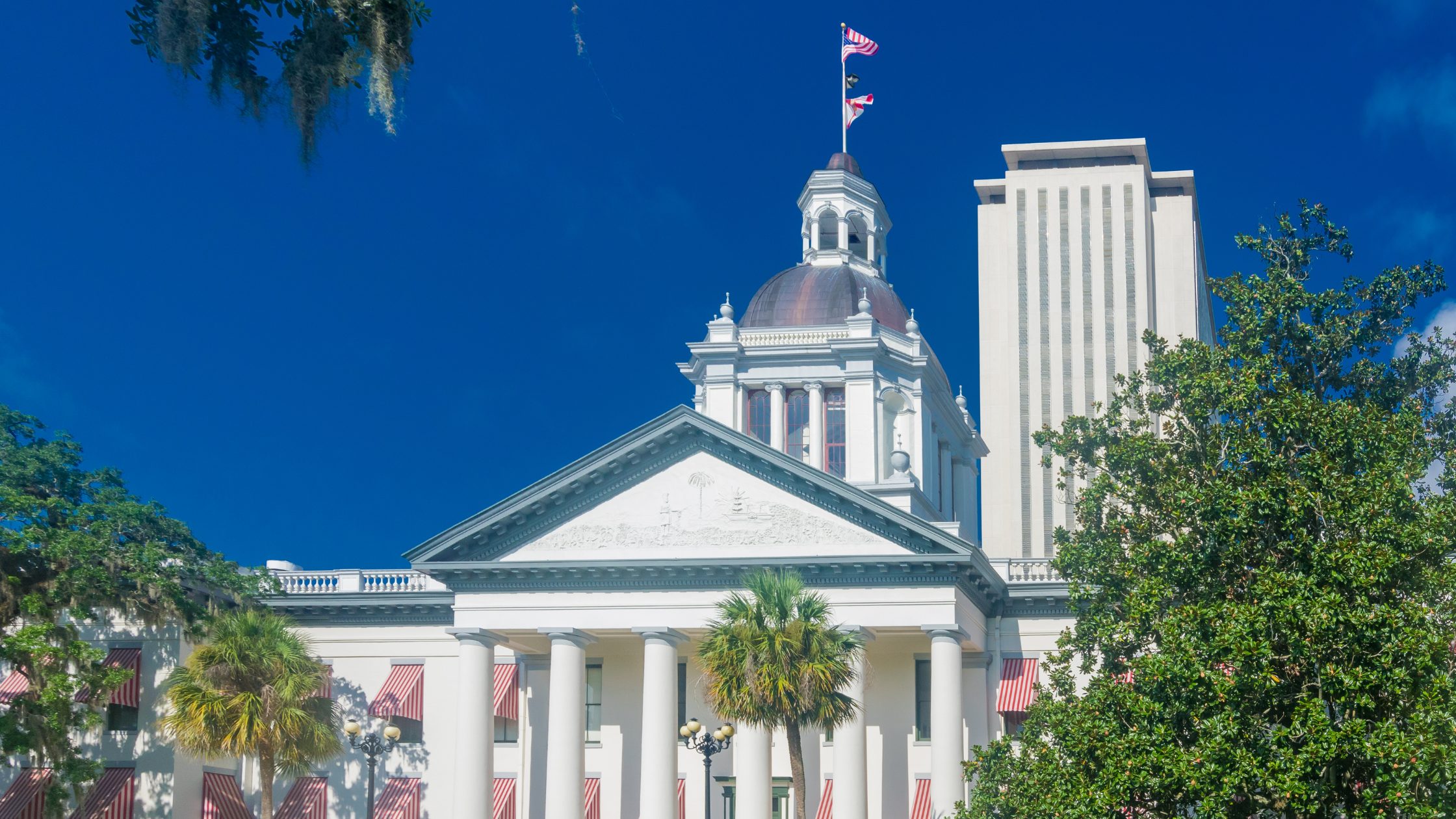 Stock image of the Tallahassee, Florida capitol buildings, with the old one in front and the new one in the back. The sky is a deep blue behind the buildings.